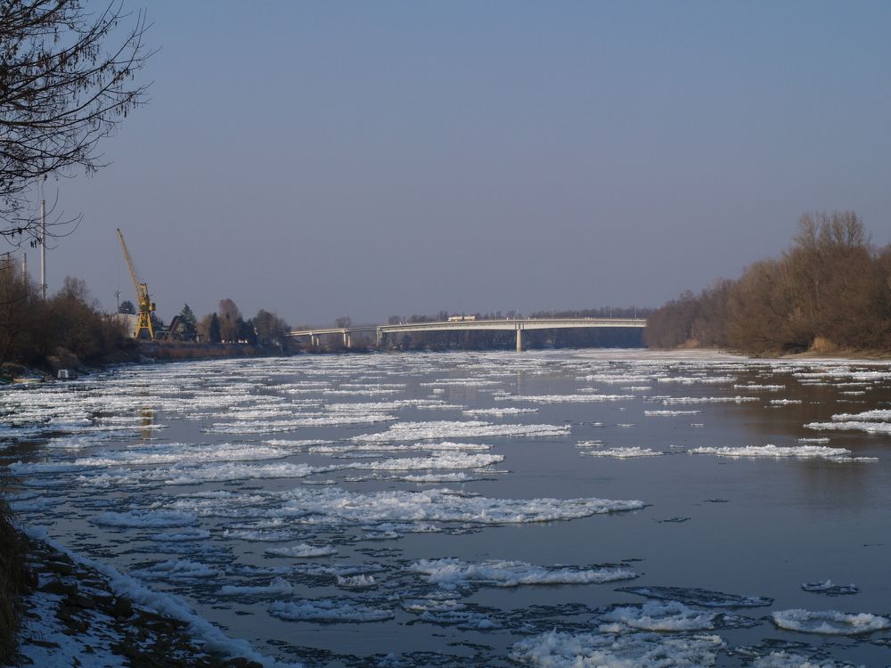 Фотография автора Dubravko Maricic