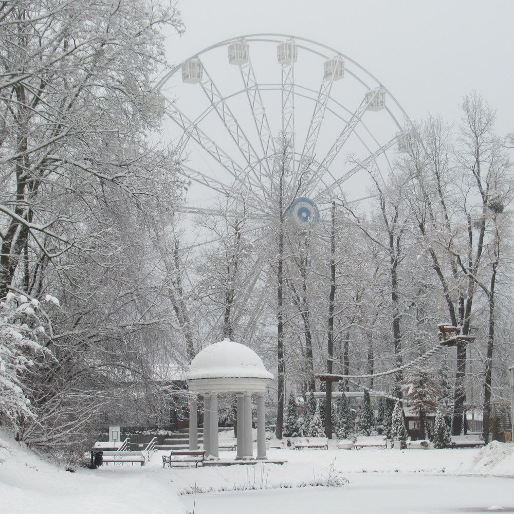 Photograph by Ирина Шведчикова