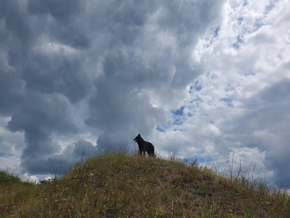 Фотография автора Надежда Лисицына