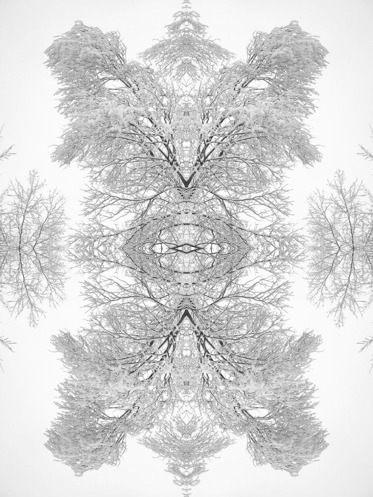 Photograph by Milana Bakina