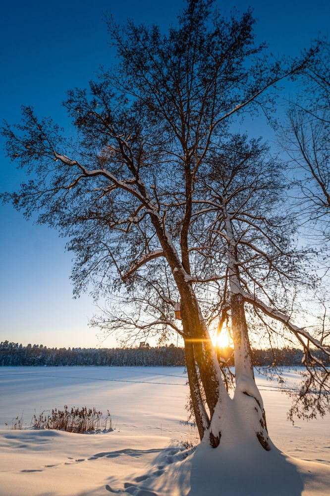 Photograph by Максим Жухлистов