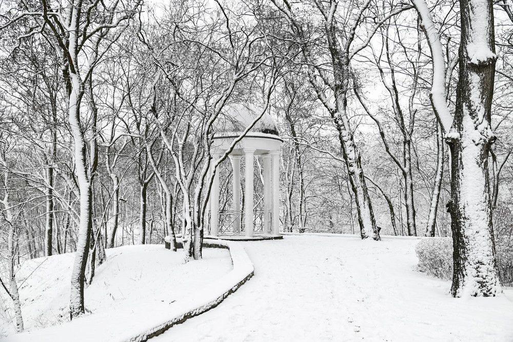 Фотография автора Юлия Кузнецова