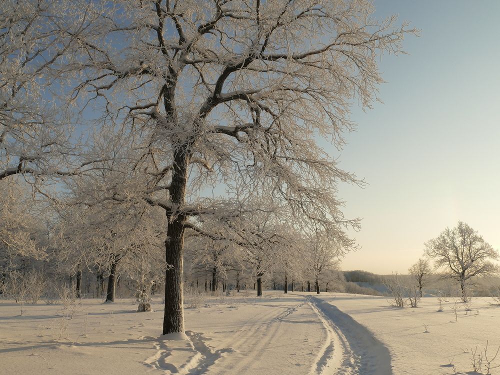 Photograph by Александр Кизим