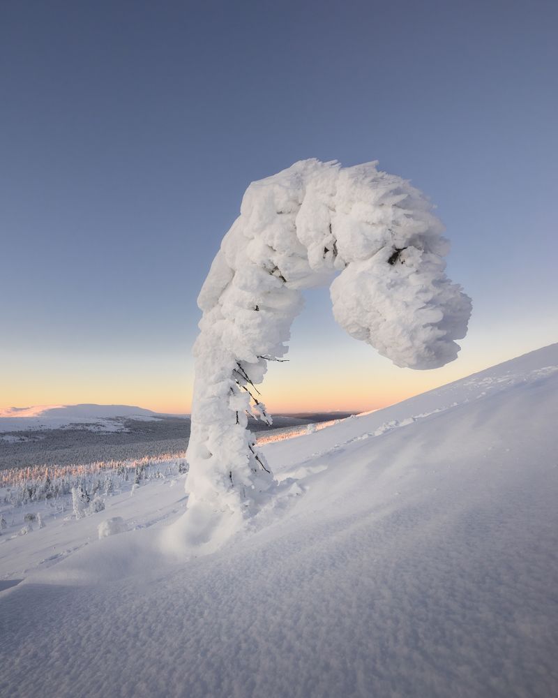 Photograph by Михаил Шаньгин