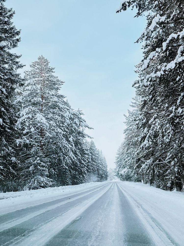 Photograph by Irina Kolotova