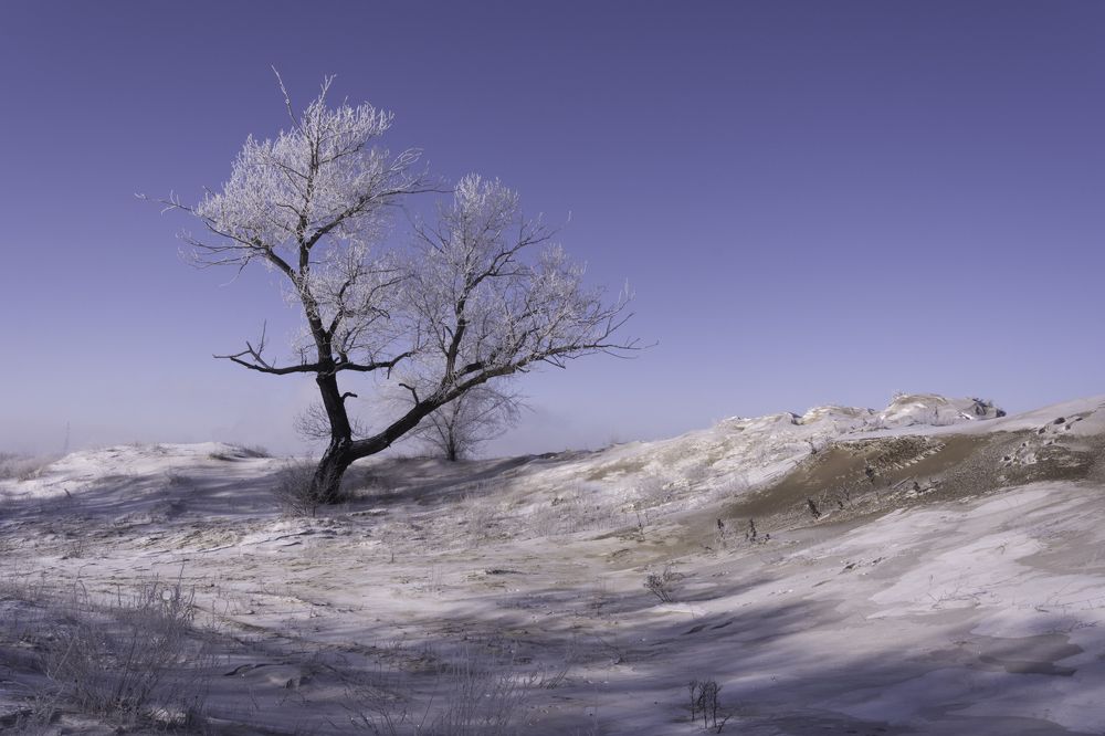 Photograph by Ольга Салтыкова