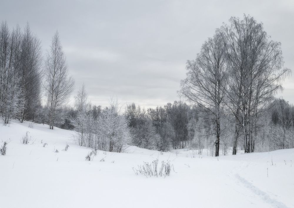 Photograph by Cергей Черныш