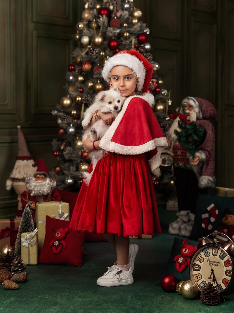 Фотография автора Shomali Ali