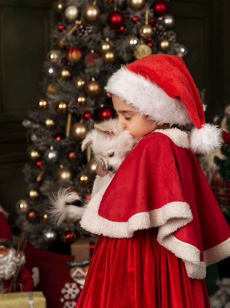 Фотография автора Shomali Ali