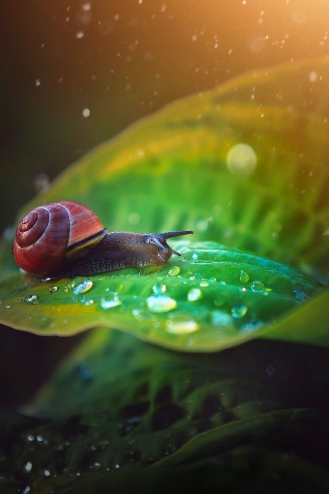 Photograph by Татьяна Максакова