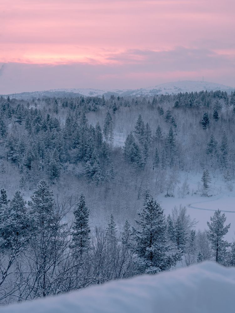 Photograph by Шейко Анна