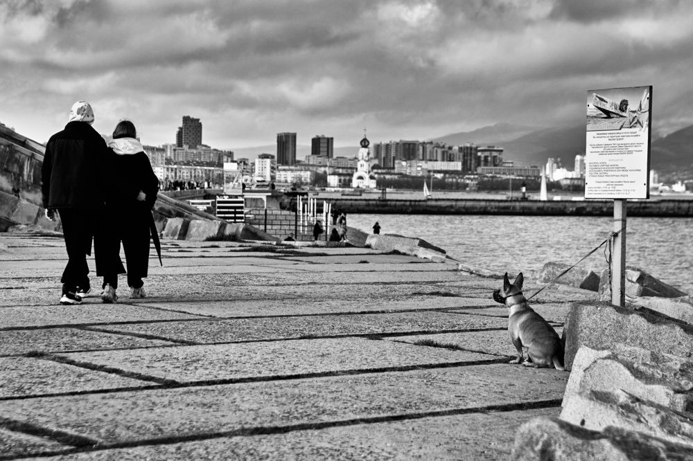 Photograph by Владимир Мельник