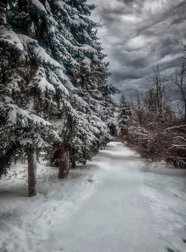 Зимний вечер.