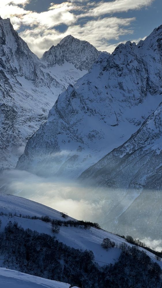 Фотография автора Юлия Недосекина