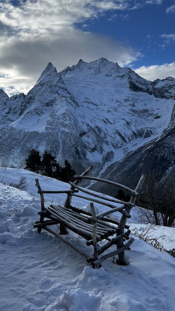 Фотография автора Юлия Недосекина