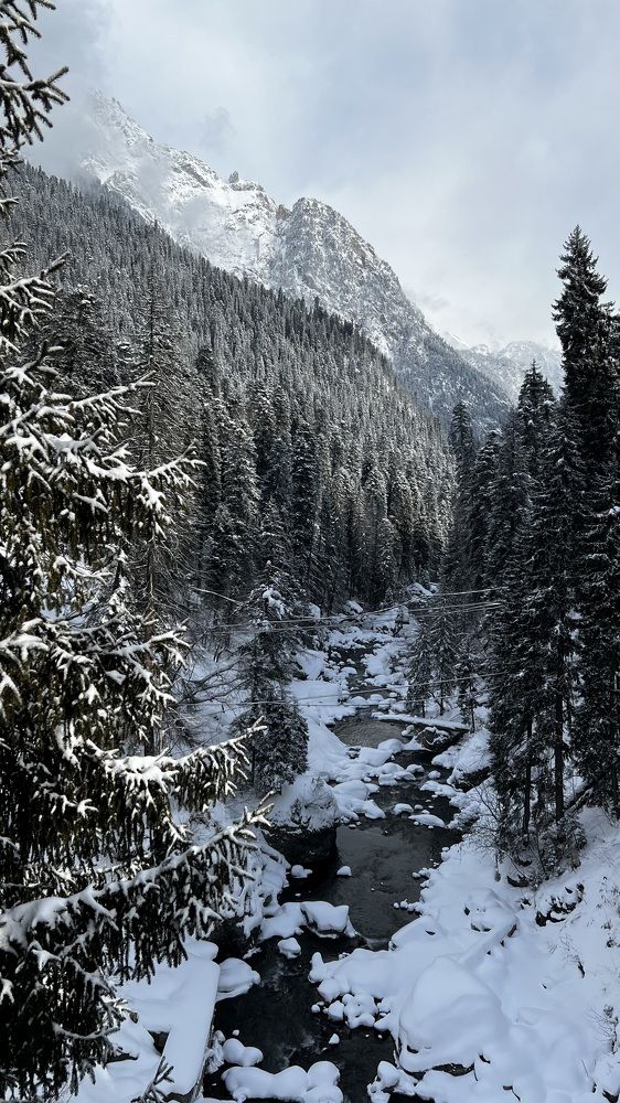Фотография автора Юлия Недосекина