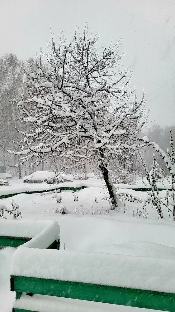 Photograph by Кристина Разаманова