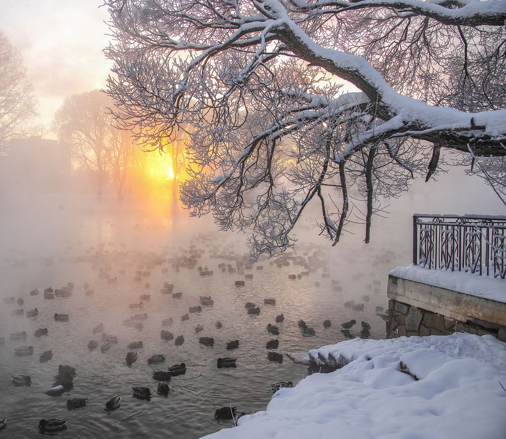 Фотография автора Карепанов Евгений
