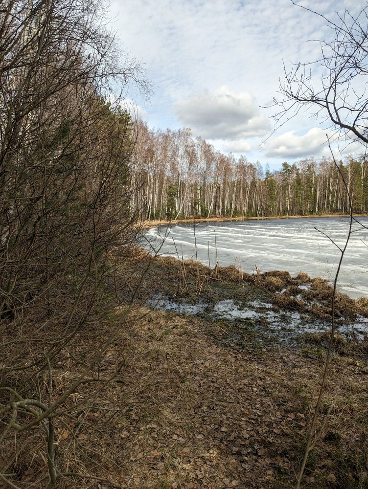 Photograph by Денис Терехин