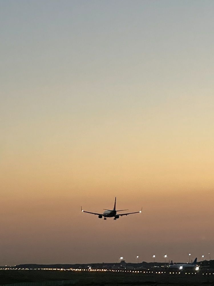 Фотография автора Юлия Недосекина