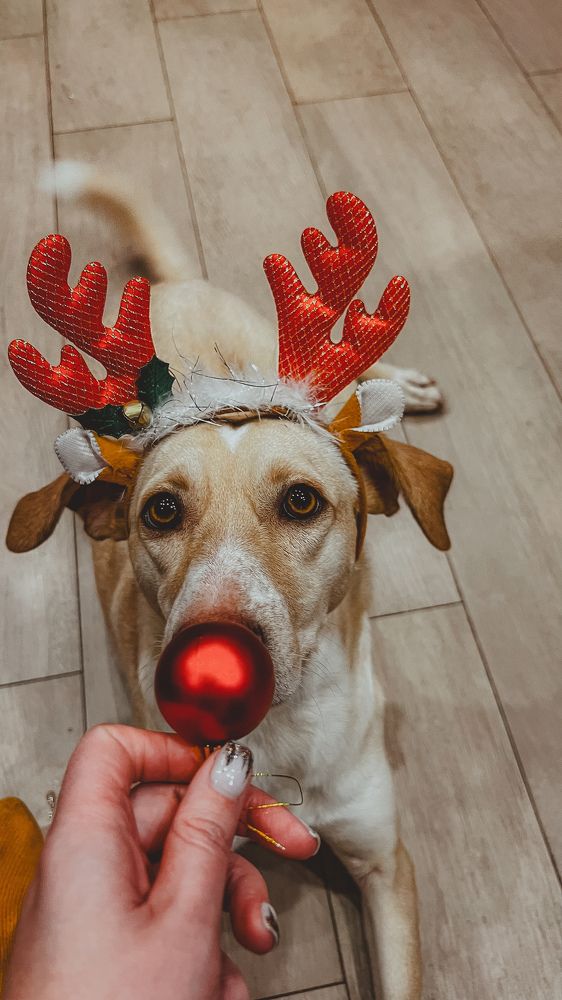 Фотография автора Юлия Недосекина