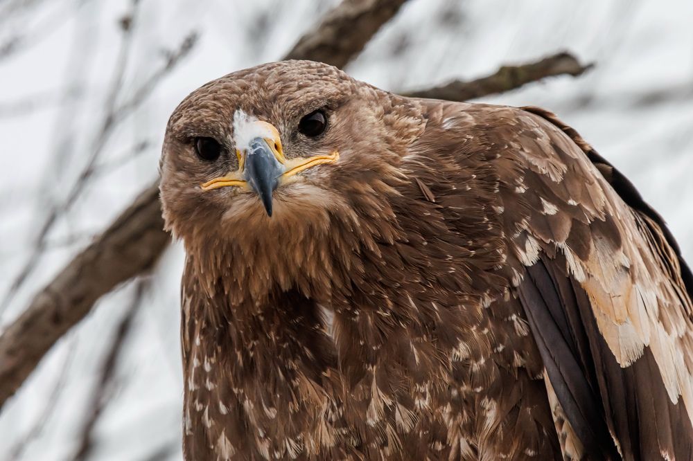 Photograph by Волынский Виктор