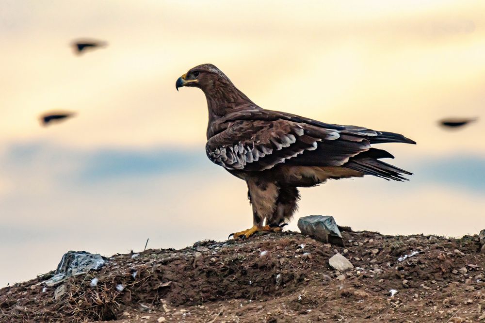 Photograph by Волынский Виктор