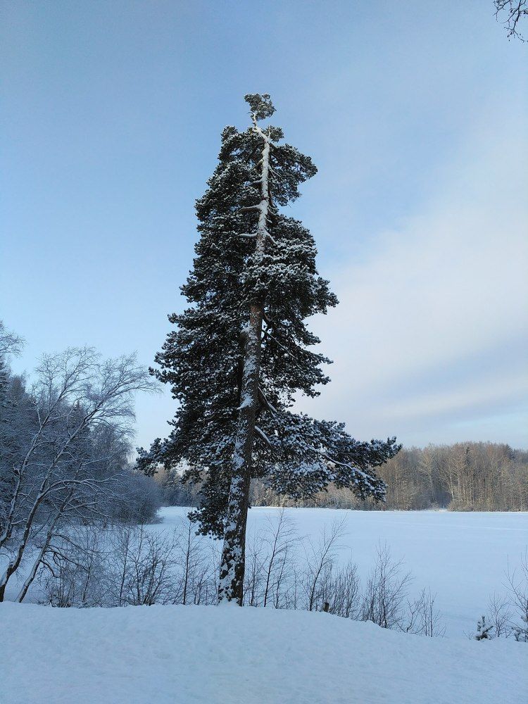 Photograph by Денис Терехин