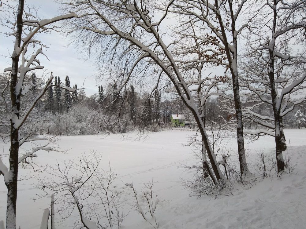 Photograph by Денис Терехин