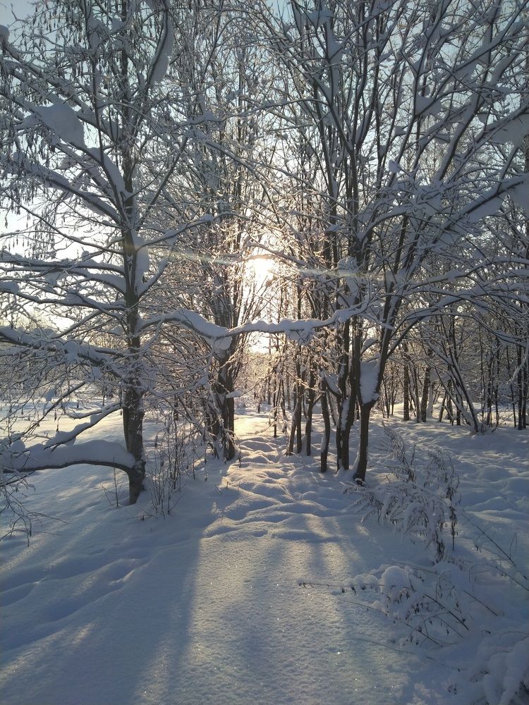 Photograph by Денис Терехин