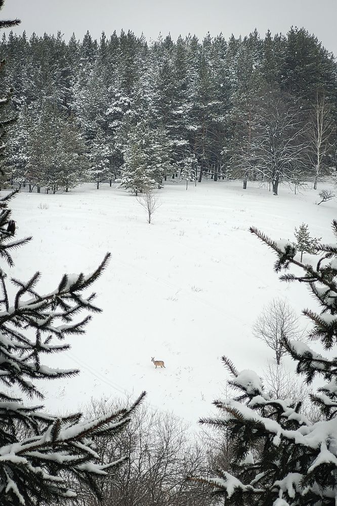 Photograph by Анна Григорьева