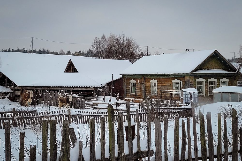 Photograph by Анна Григорьева