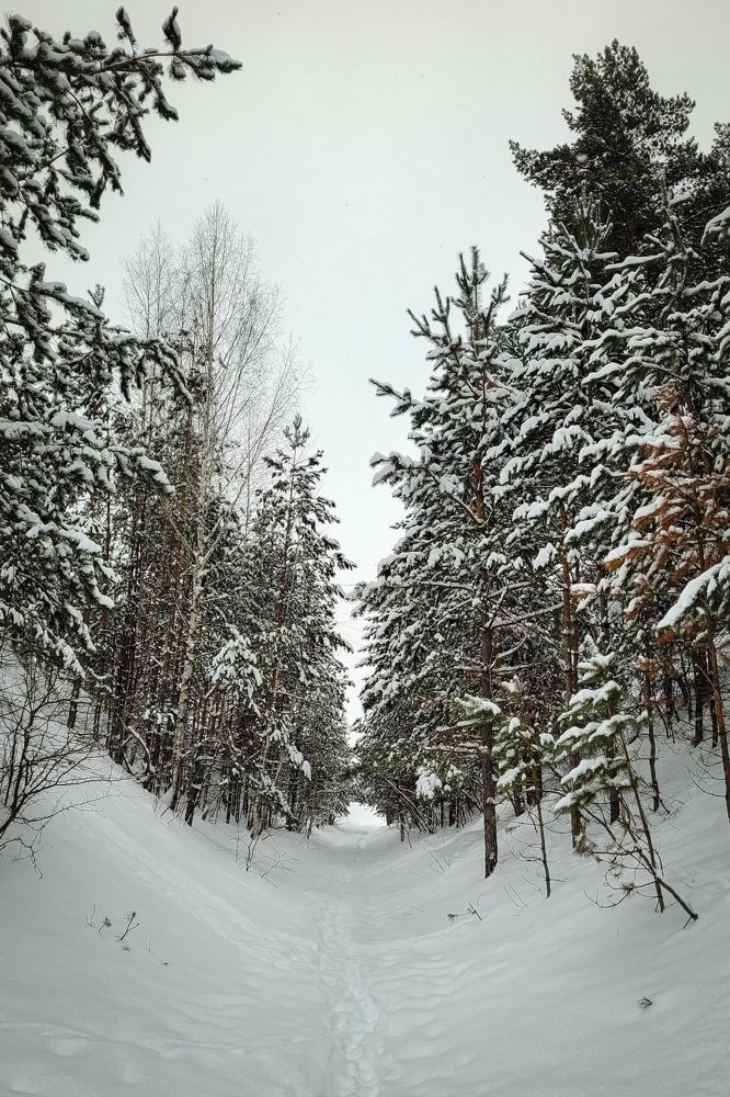 Photograph by Анна Григорьева