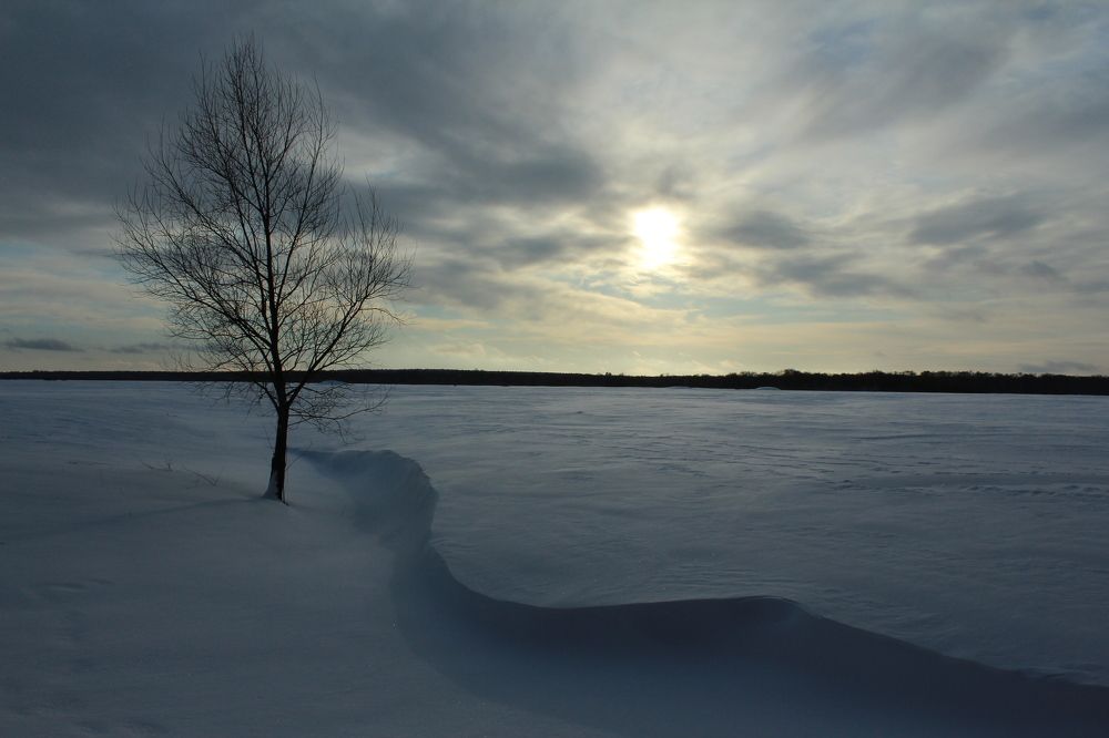 Photograph by Наталья Волкова