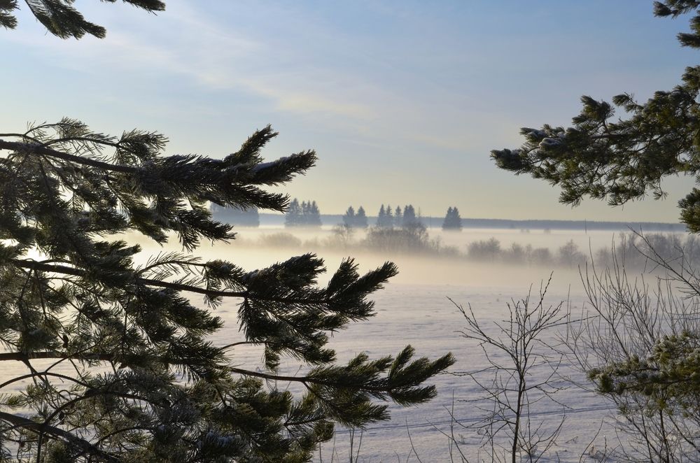 Photograph by Елена Курзенёва