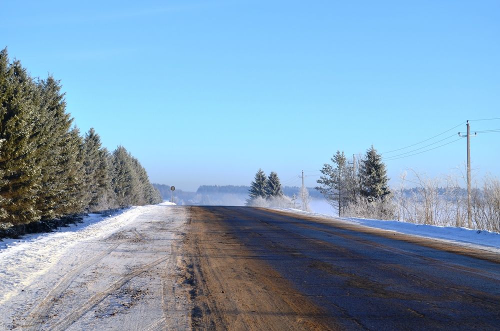 Photograph by Елена Курзенёва