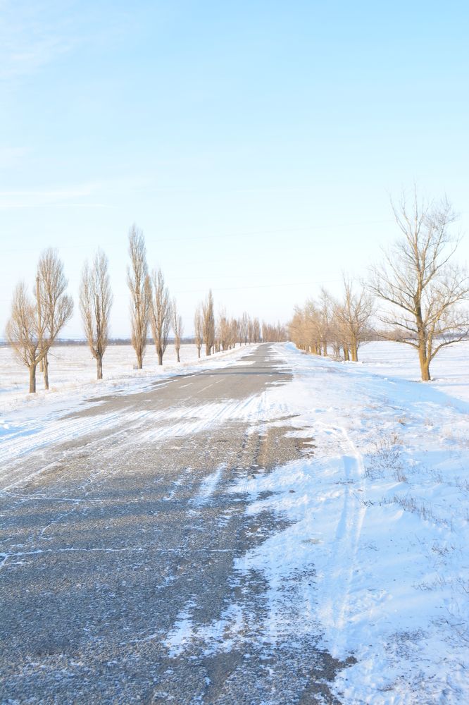 Photograph by Ирина Молибог