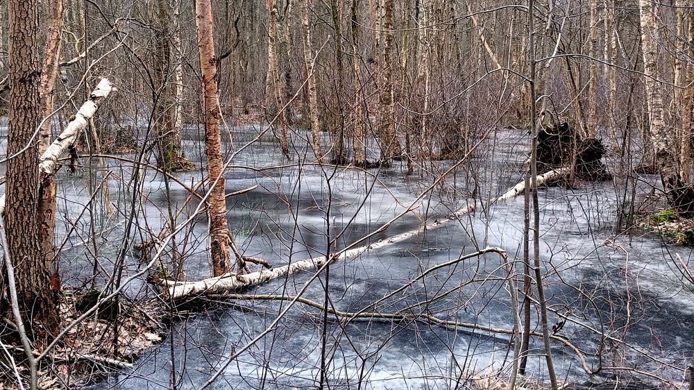 Photo #10114653