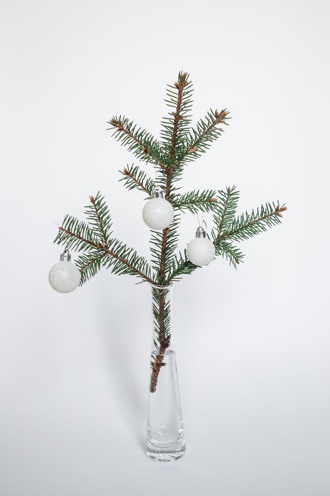 Photograph by Ольга Осинина