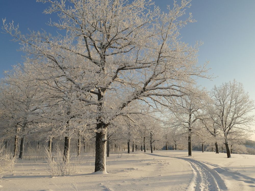 Photograph by Александр Кизим