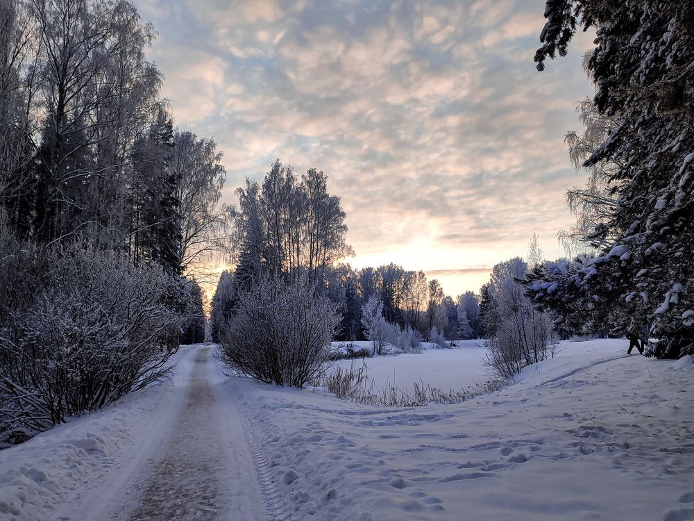 Фотография автора Мария Филиппова