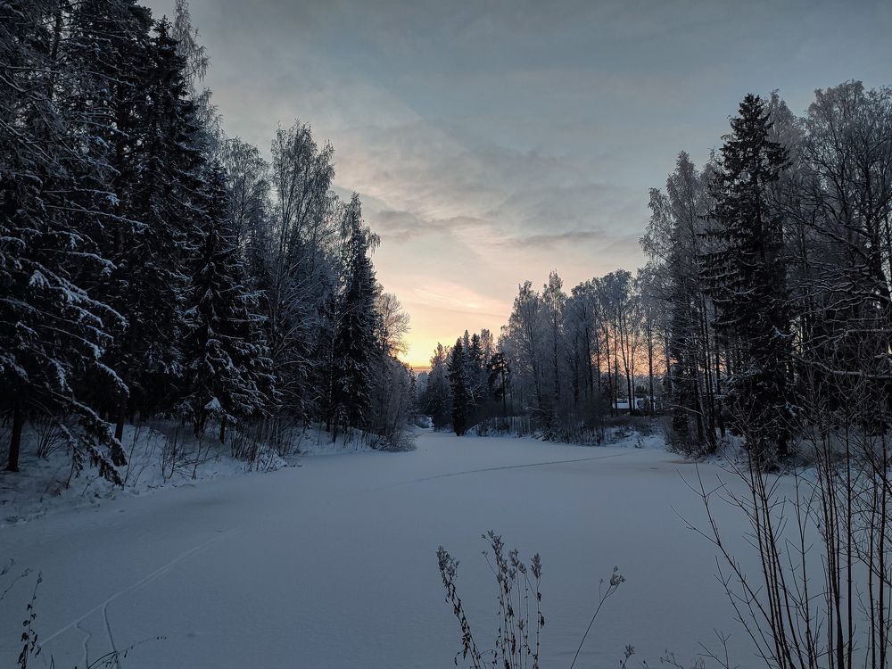 Фотография автора Мария Филиппова