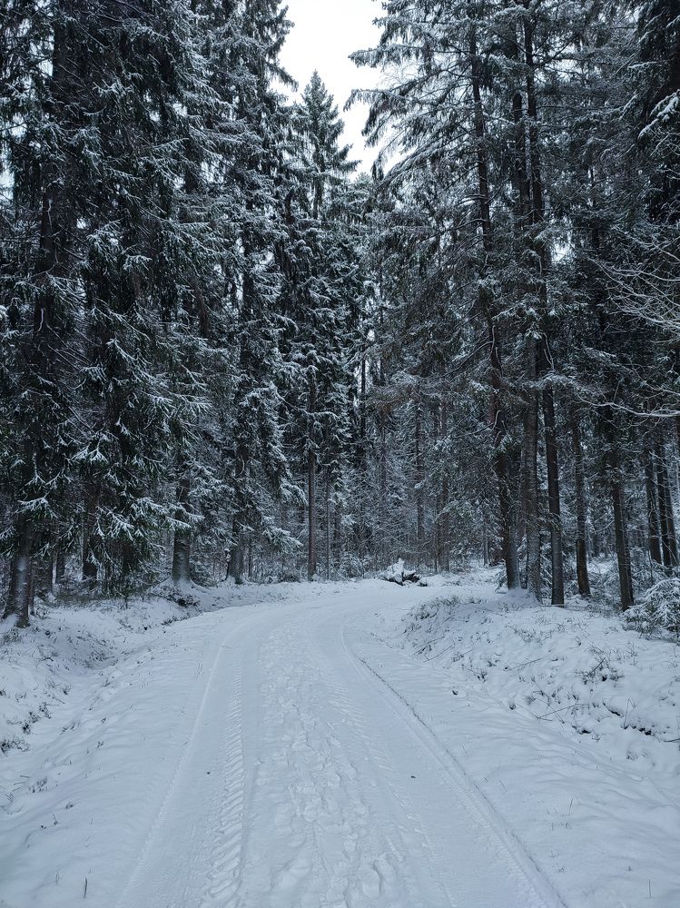 Фотография автора Мария Филиппова