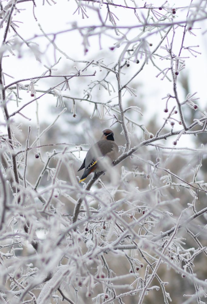 Фотография автора Егор Пешков