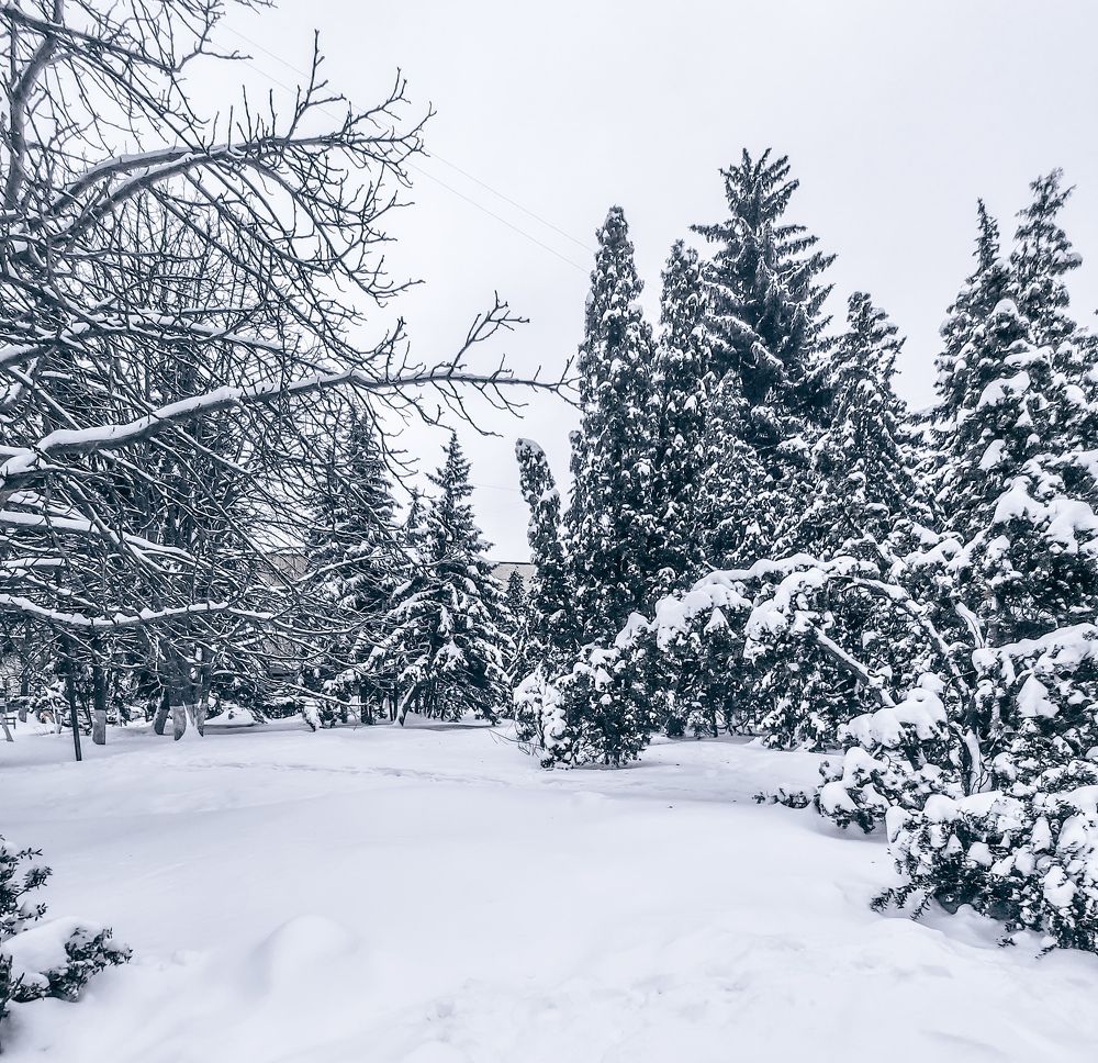 Фотография автора Irina Vornacheva