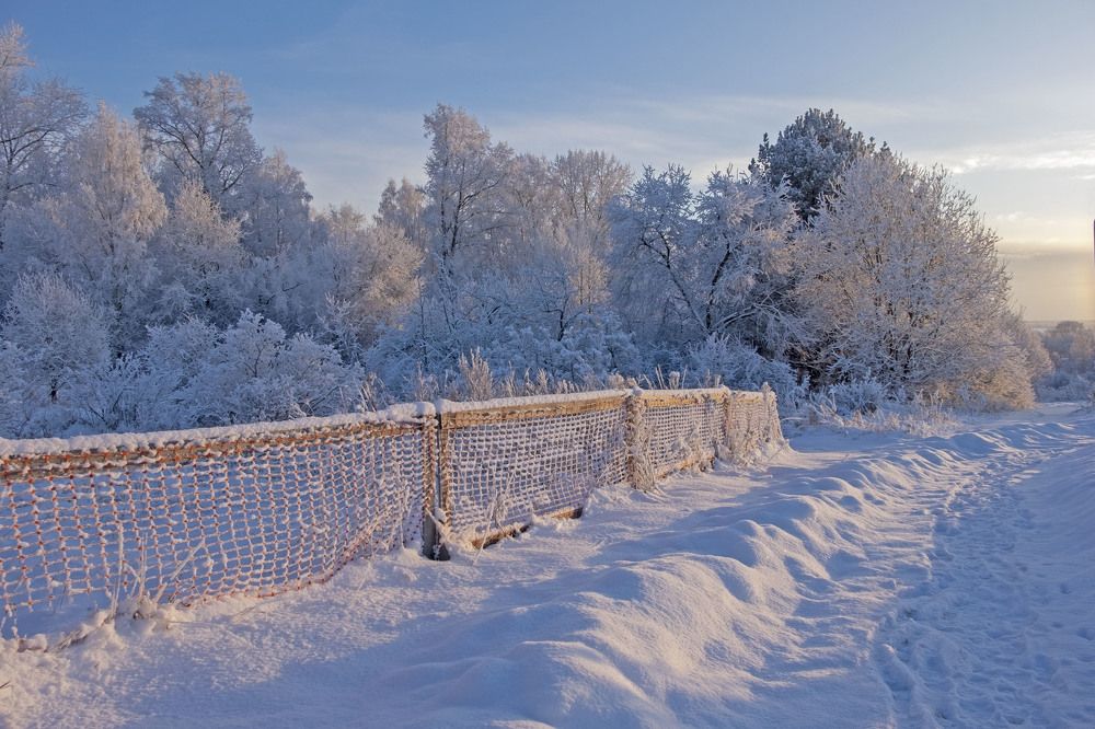 Фотография автора Наталья Липовская