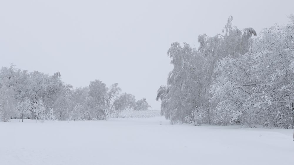 Photograph by Анжелика Сороколетова