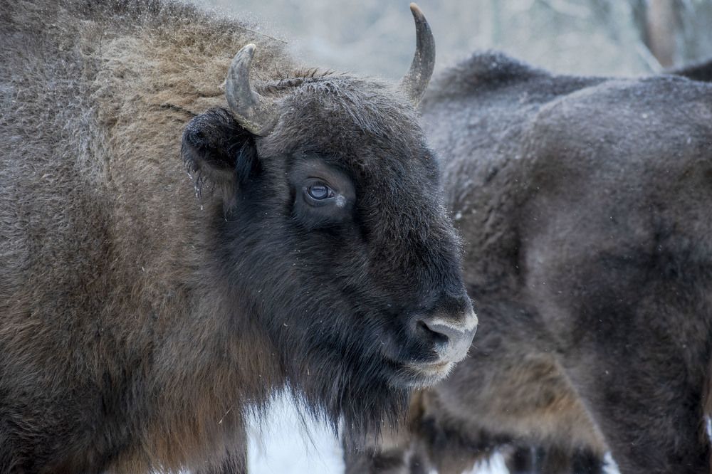 Photograph by Оксана Губанова