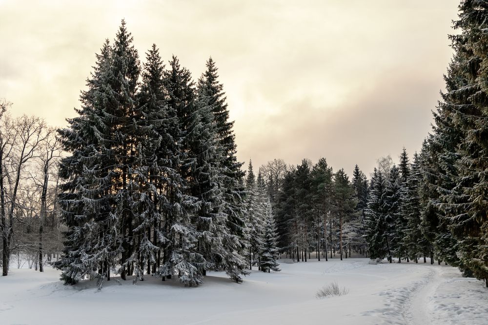 Photograph by Ольга Михайлова