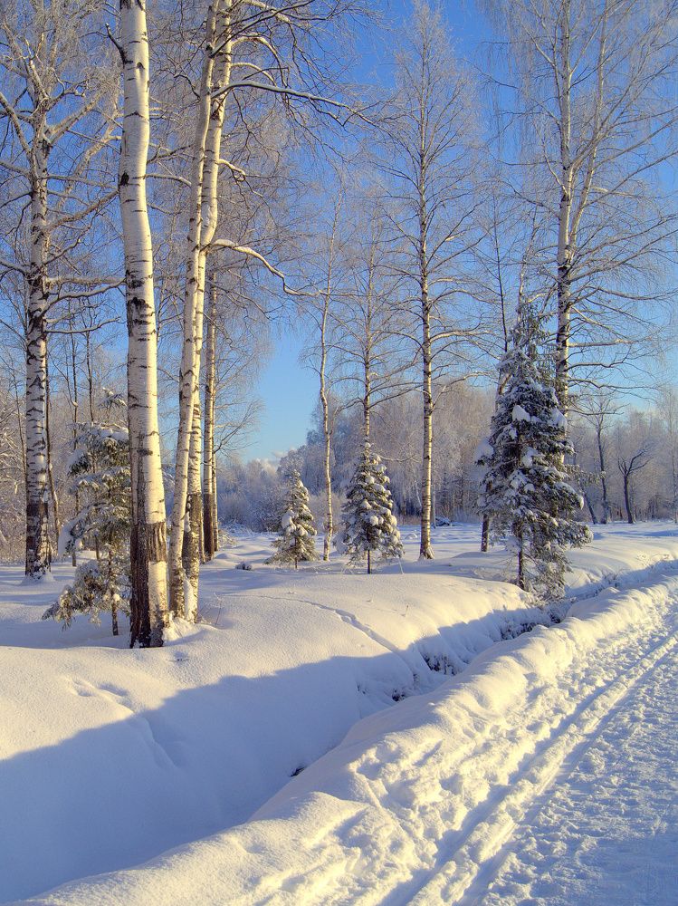 Photograph by Михаил Вечерский